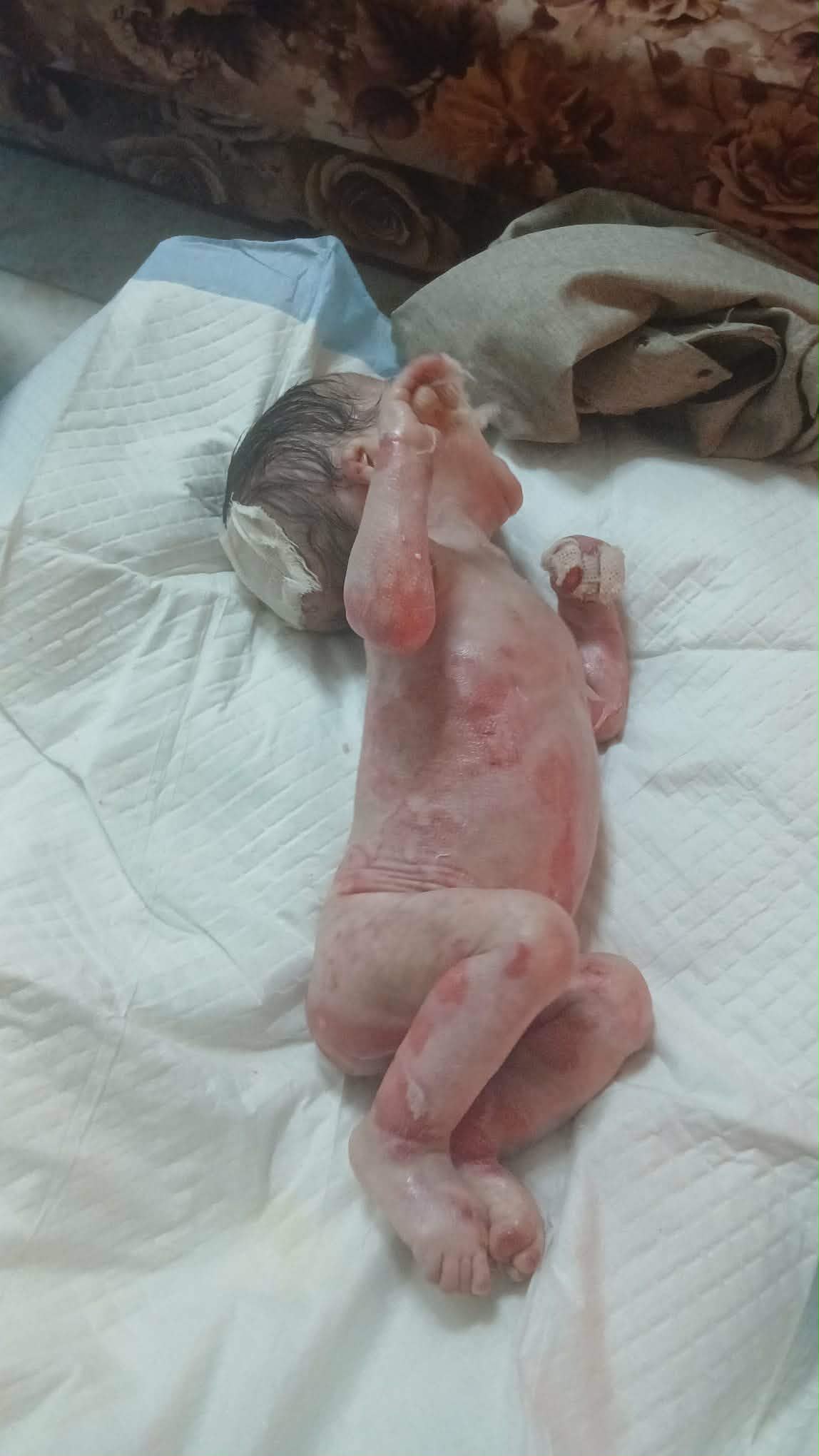 مناشدة عاجلة للرئيس عباس